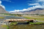 Nubra valley – Diskit- Pangong Tso